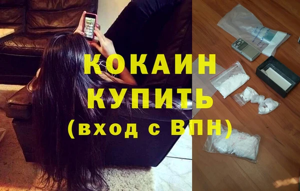 прущие крисы Арсеньев