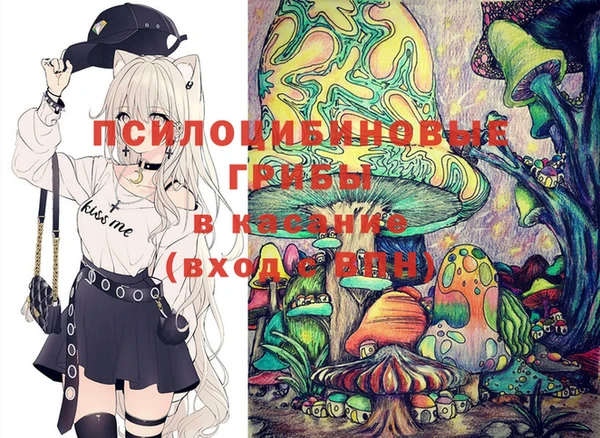 прущие крисы Арсеньев
