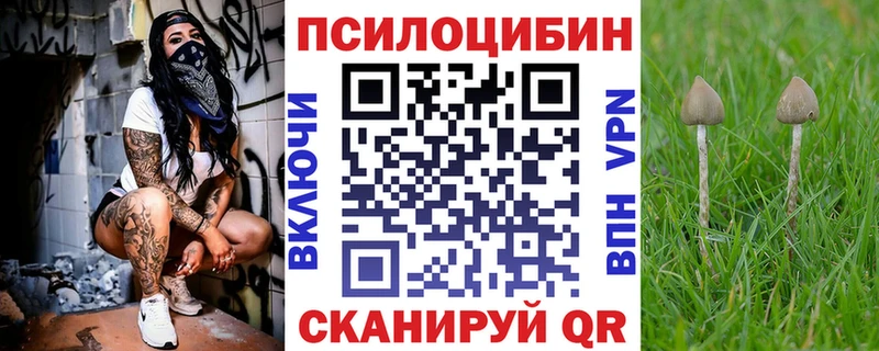 продажа наркотиков  Старая Русса  Псилоцибиновые грибы GOLDEN TEACHER 